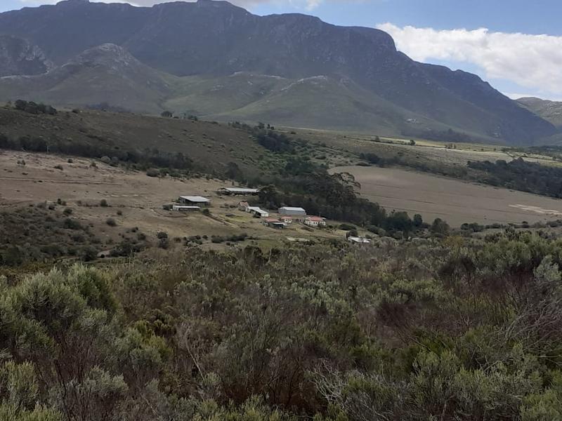 0 Bedroom Property for Sale in Albertinia Western Cape